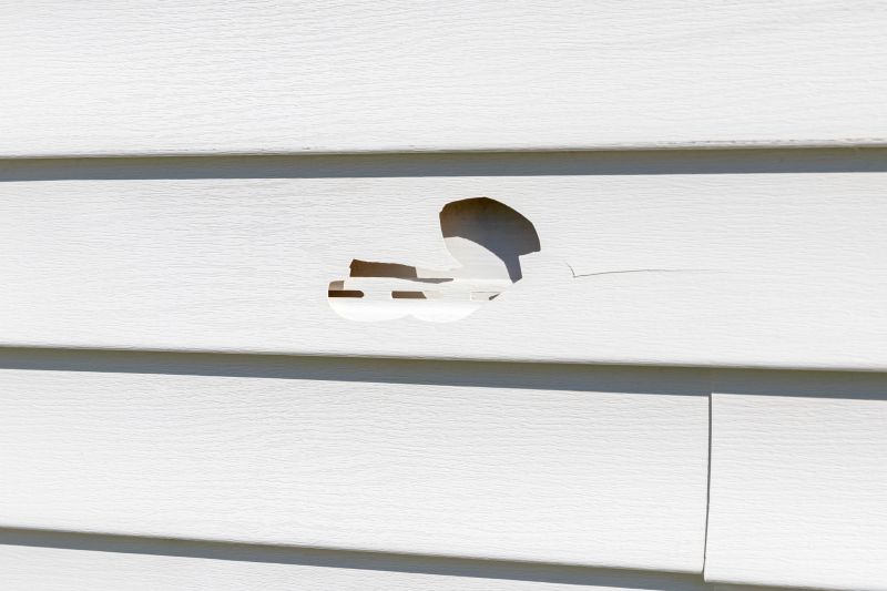 New Vinyl Siding Panel Installation
